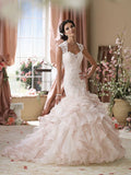 David Tutera Size 12 Crawley IV/Tea Rose Gown