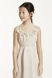 David's Bridal Size 14J JB4062 Champagne Bridesmaid Dress