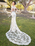 Ivoire Size 10 Liselle Ivory Gown